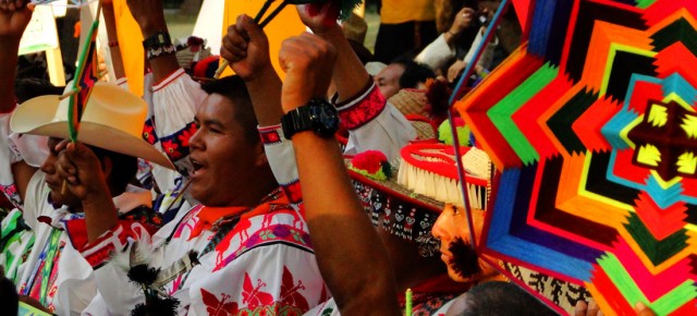 Activities carried out during the campaign “Save Wirikuta, the Sacred Heart of Mexico” Activities carried out during the campaign “Save Wirikuta, the Sacred Heart of Mexico”