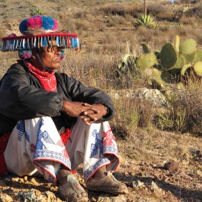 Huichol ‘cosmic portal’ peyote ceremonies threatened by silver mine Huichol ‘cosmic portal’ peyote ceremonies threatened by silver mine